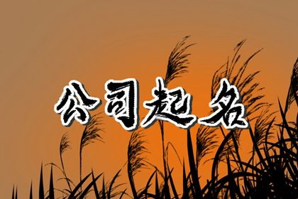 商号与品牌